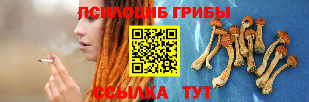 Галлюциногенные грибы мицелий Муром